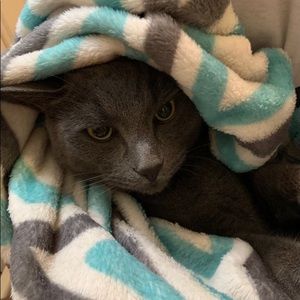 Meet your Posher, Joan